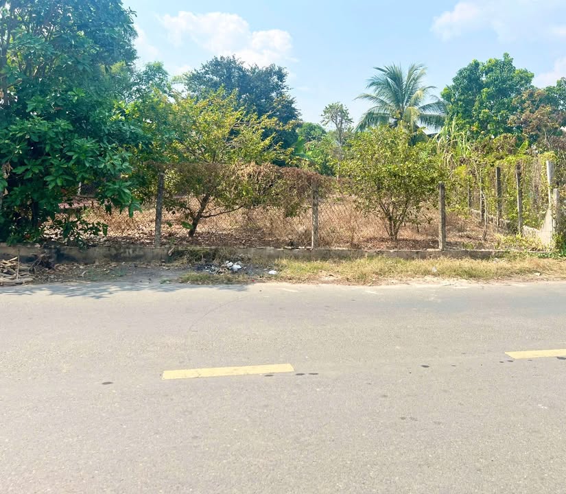 Mặt tiền đường Cao Sơn Tự, Gò Dầu, Tây Ninh 455m² giá 54.6 tỷ - Đầu tư sinh lời tuyệt vời!