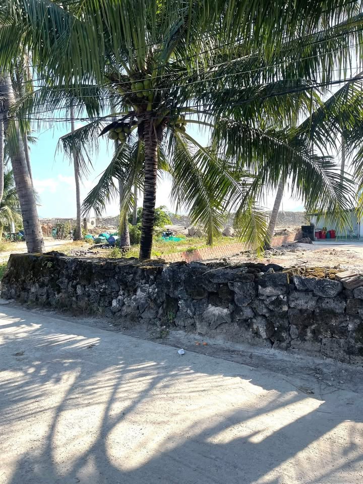 Nhà cấp 4 Thôn Hà Già, Xã Vạn Hưng 262m² giá 3.93 tỷ - Nơi tiềm năng nhất!