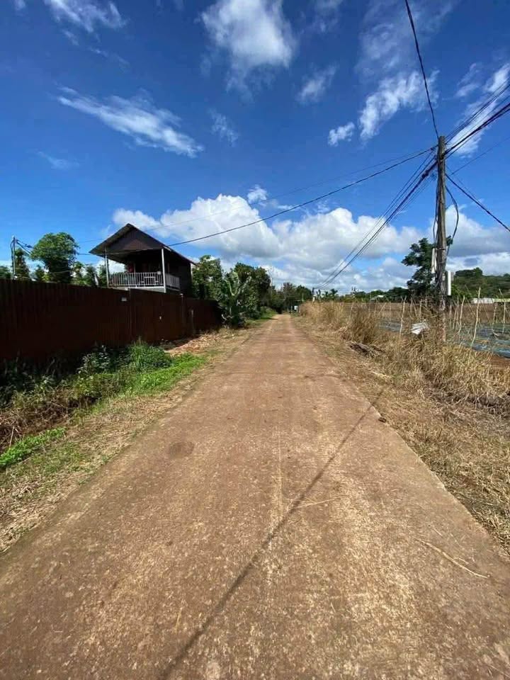 Đất 2 mặt tiền Khánh Xuân, 3960m² giá 550 triệu - Đầu tư sinh lời ngay!