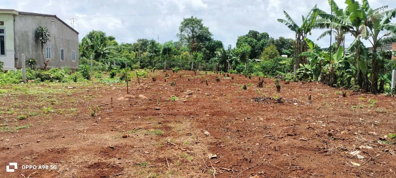 Đất nền thổ cư 275m² tại Thị trấn Quảng Phú - Giá chỉ 250 triệu - Cơ hội đầu tư lý tưởng!