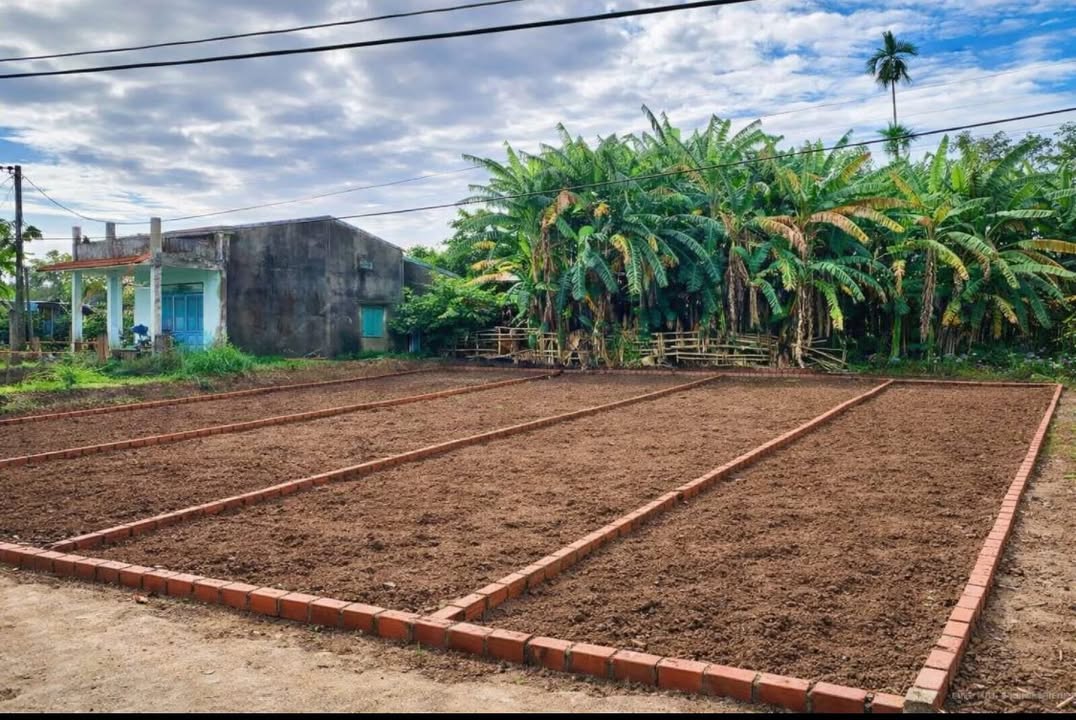 Đất nền Hòa Tiến Đà Nẵng 130m² giá 690 triệu - Sổ đỏ chính chủ ngay!