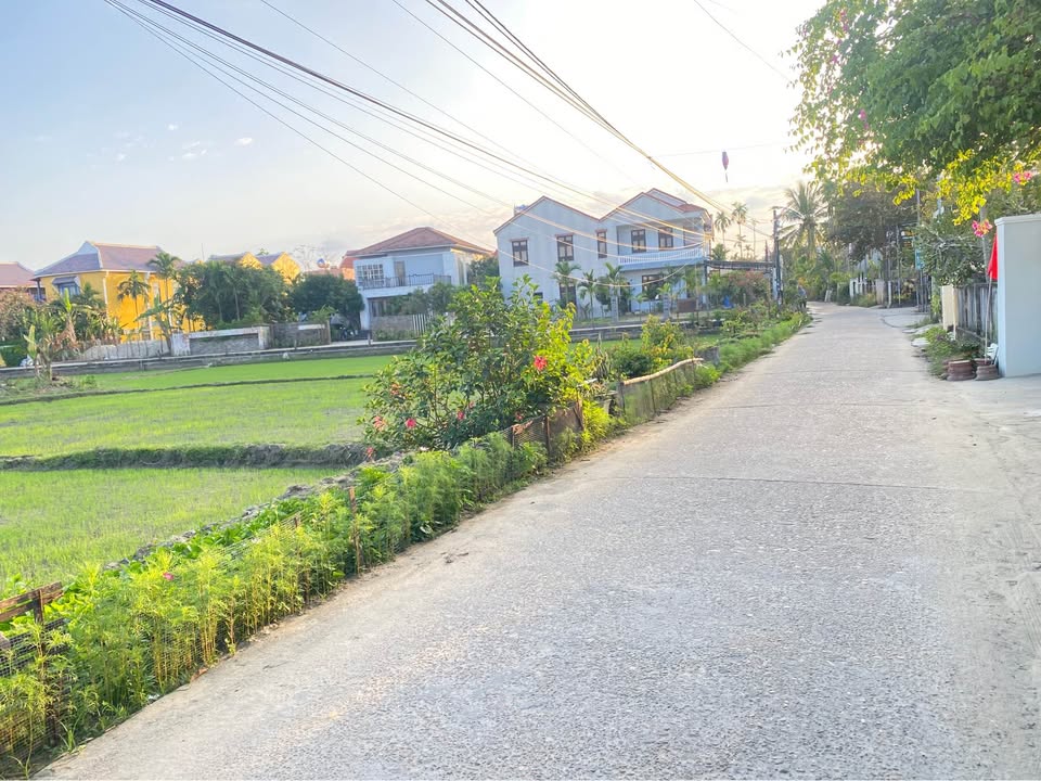 Đất nền Thanh Tây, Hội An 149m² giá 3.2 tỷ - Đầu tư sinh lời ngay!