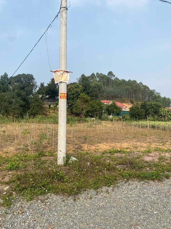 Đất đấu giá Khu 13 xã Phù Ninh 300m² giá chỉ từ 3 tỷ - Sổ hồng chính chủ!