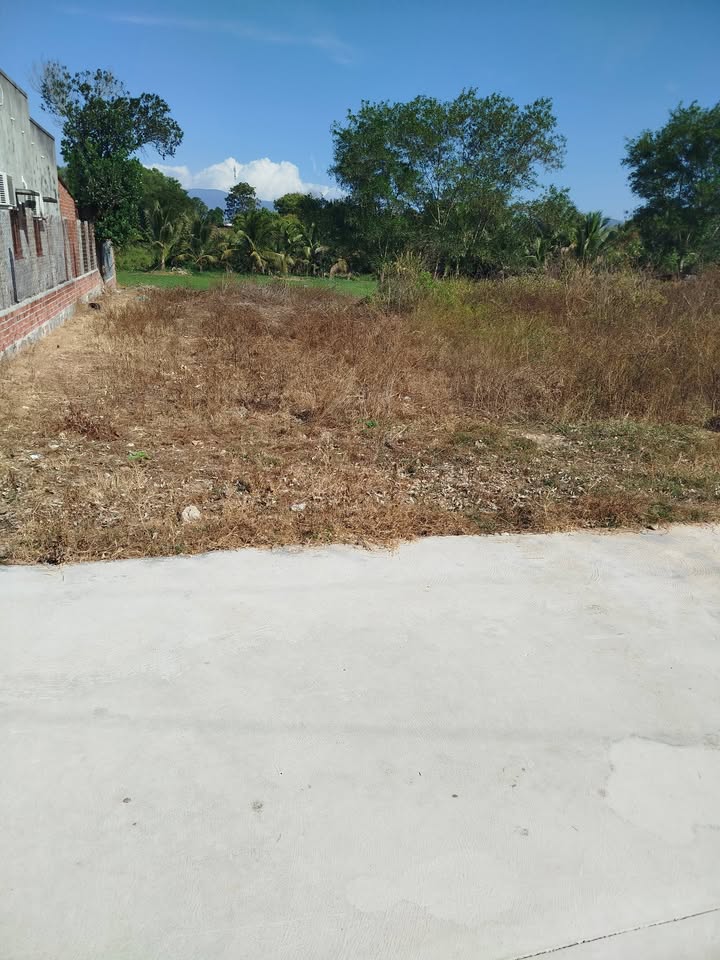 Đất nền Tân Lập 1, Ninh Hải 400m² giá chỉ 4xx triệu - Cơ hội đầu tư tuyệt vời!