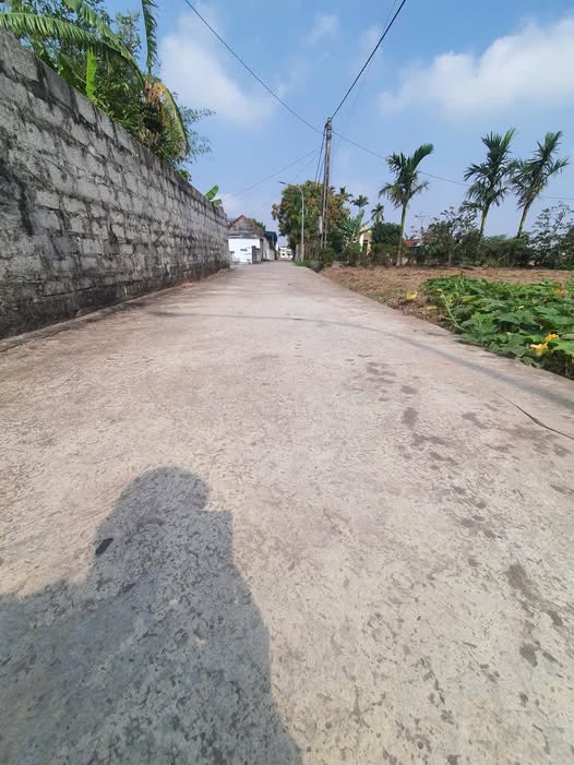 Đất nền Xã Nghĩa Phú, Huyện Nghĩa Hưng 192m² chỉ 630 triệu - Cơ hội đầu tư hấp dẫn!