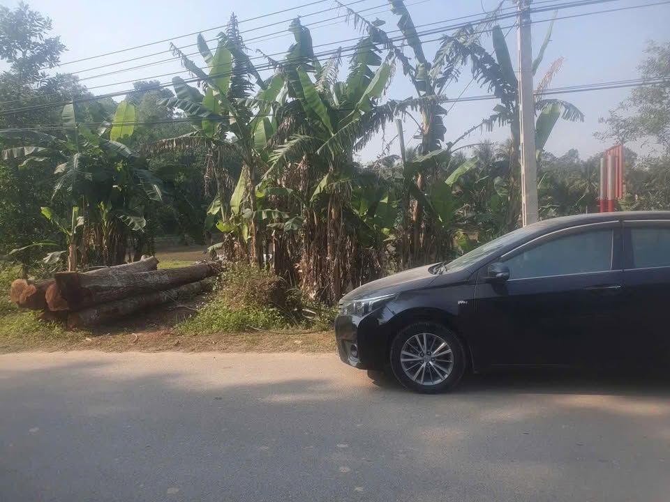 Đất thổ cư tại Thọ Sơn, Triệu Sơn, 360m² - Đầu tư sinh lời ngay!