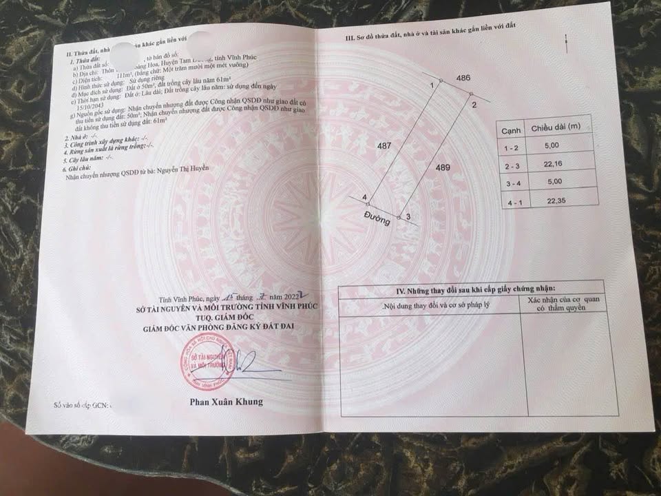 Đất nền Tam Dương 111m² giá 1.8 tỷ - Kinh doanh sầm uất ngay trục chính!