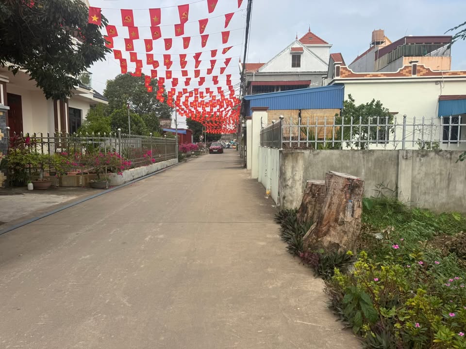 Đất thổ cư Xóm 1 Bình Hòa 186m² giá 1.3 tỷ - Đầu tư sinh lời ngay!