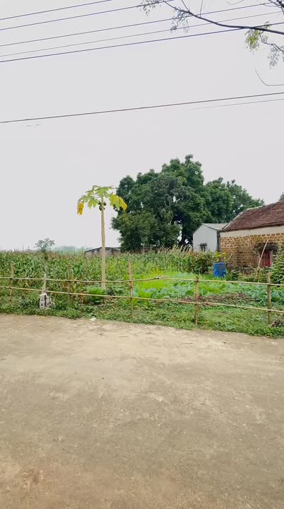 Đất nghỉ dưỡng 253m² Liên Sơn, Lương Sơn chỉ 1 tỷ - View đồi núi tuyệt đẹp!