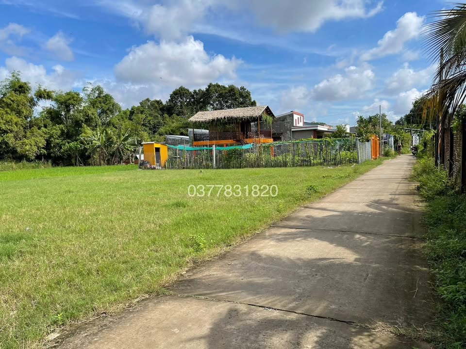 Bán đất mặt tiền QL53, Ấp Truôn, 94m² giá 320 triệu - Thương lượng ngay!