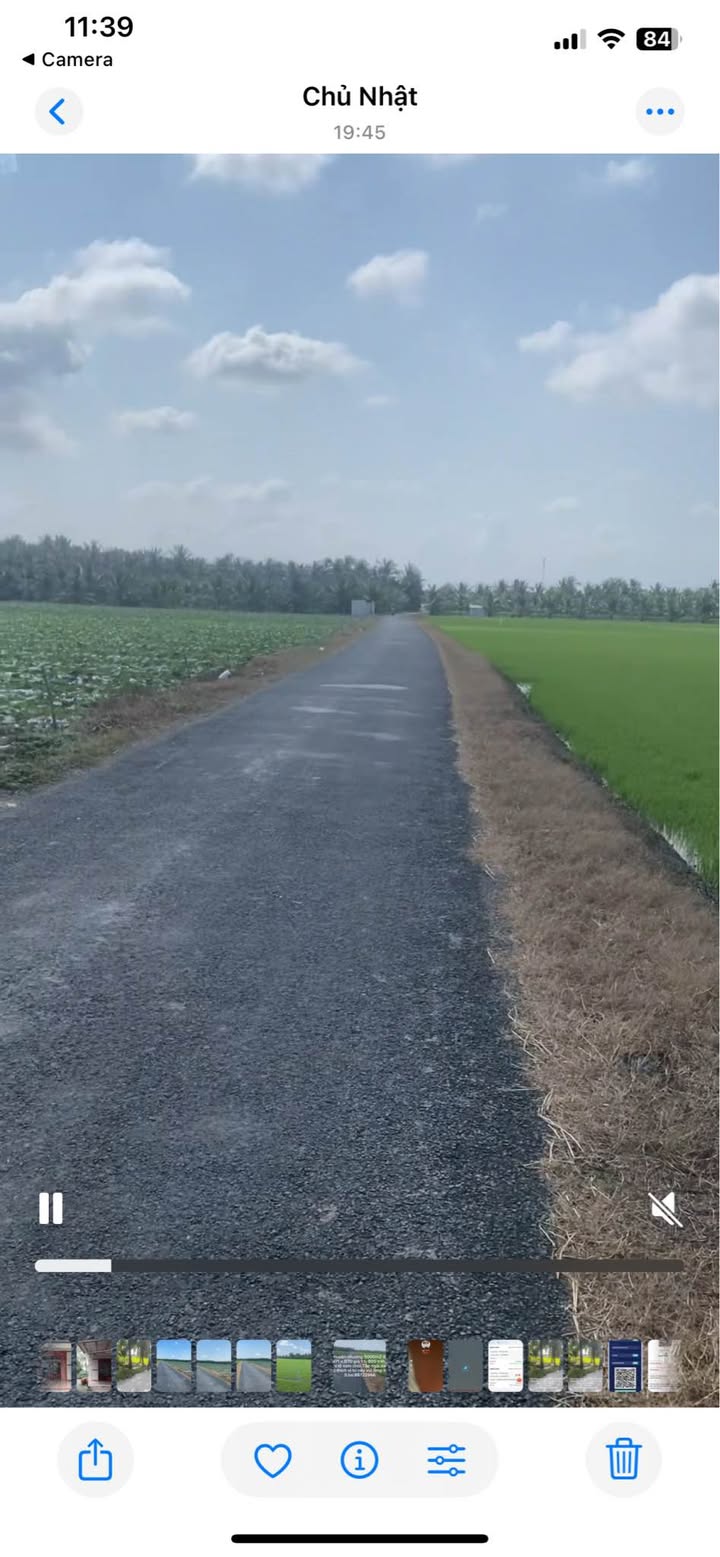 Đất nền 5000m² tại Ấp Ông Xây, Tiểu Cần giá 1.8 tỷ - Vị trí yên tĩnh lý tưởng!