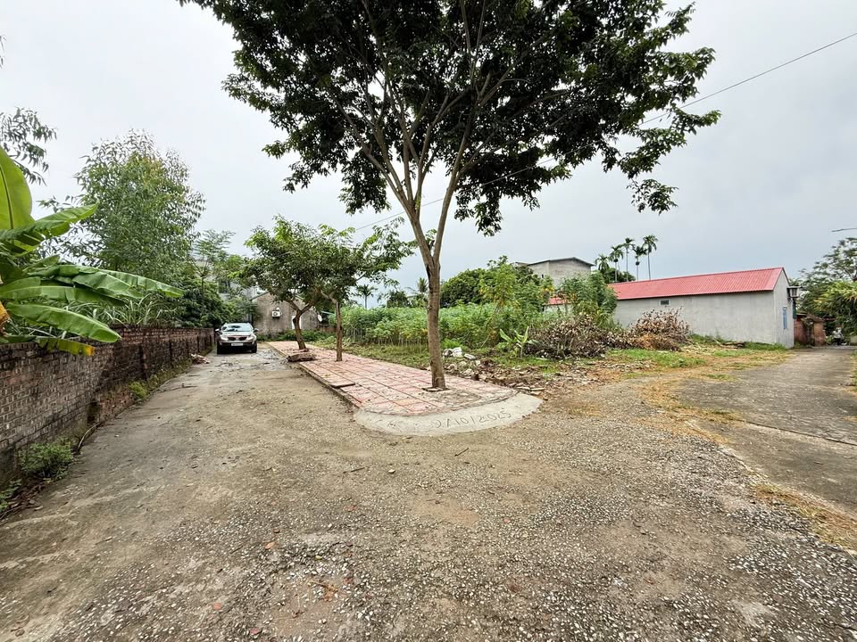 Đất nền 160m² phố Đồng Bùi Song Mai - Giá chỉ 1 tỷ - Đầu tư sinh lời tốt!