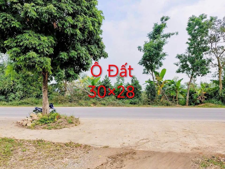 Đất mặt đường Hồ Chí Minh, Khu 8 Tu Vũ, 900m² giá 7 tỷ - Đầu tư sinh lời tuyệt vời!