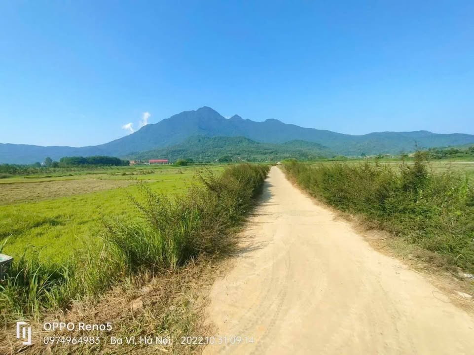 Đất Farm 2520m² tại Yên Bài, Ba Vì chỉ 105 triệu - Cơ hội đầu tư tuyệt vời!