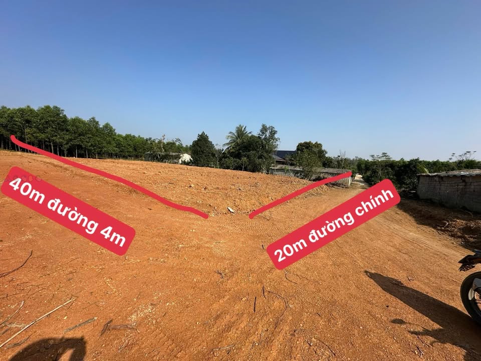 Đất nền Thọ Sơn 800m² giá 1.5 tỷ - Lô góc 2 mặt tiền siêu đẹp!