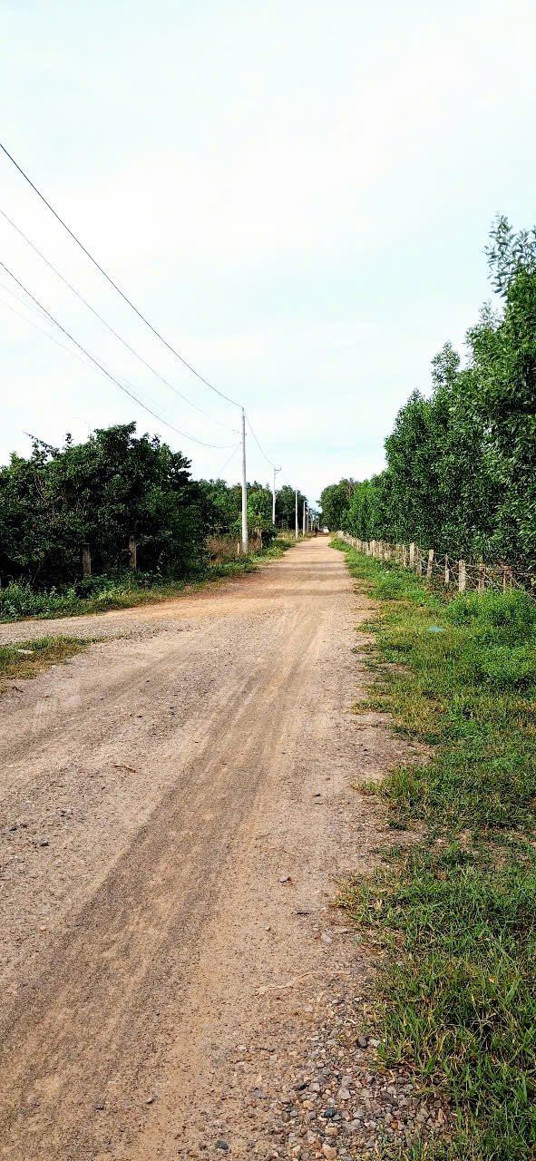 Đất nền 17.127,2m² tại Thôn 3 - Hàm Thuận Bắc chỉ 1,5 tỷ - Bán gấp!