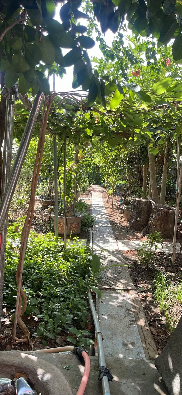 Đất nền Ninh Hải 868m² giá thỏa thuận - Đường bê tông ô tô vào tận nơi!