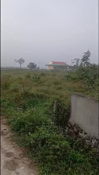 Đất thổ cư Xóm 21, Nghi Văn 300m² giá 2 tỷ - Cơ hội đầu tư hấp dẫn!