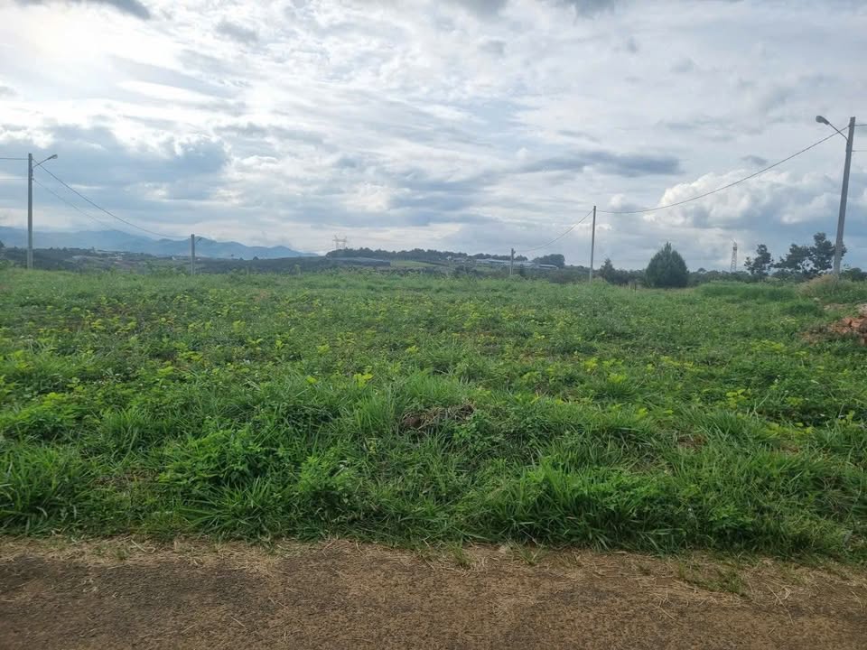 Đất nền Phường 2 Bảo Lộc 276m² giá 3 tỷ - Đầu tư sinh lời ngay!