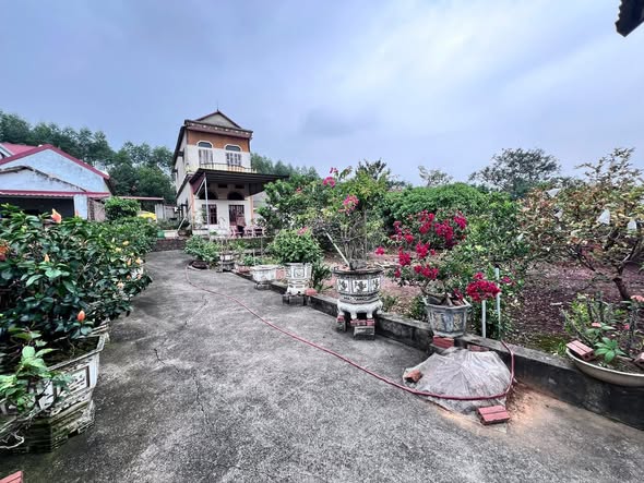 Đất nền 736m² tại Xã Tân Hưng, Bắc Giang - Giá 3 tỷ, cơ hội đầu tư vàng!