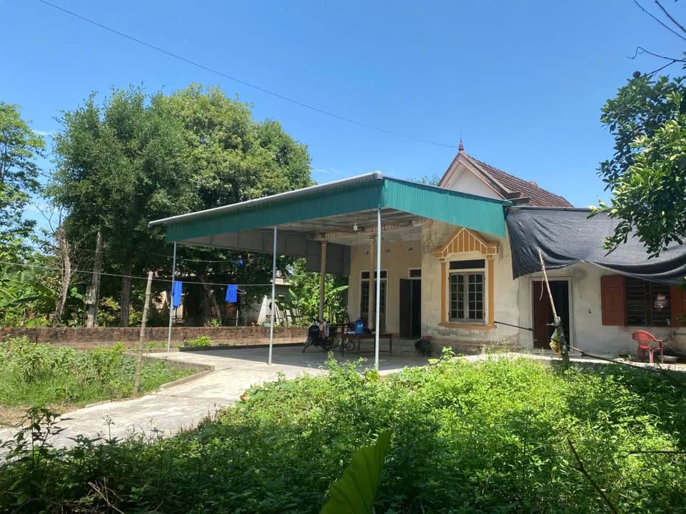 Nhà mặt tiền xã Cẩm Duệ, huyện Cẩm Xuyên 686m² giá 740 triệu - Đầu tư sinh lời