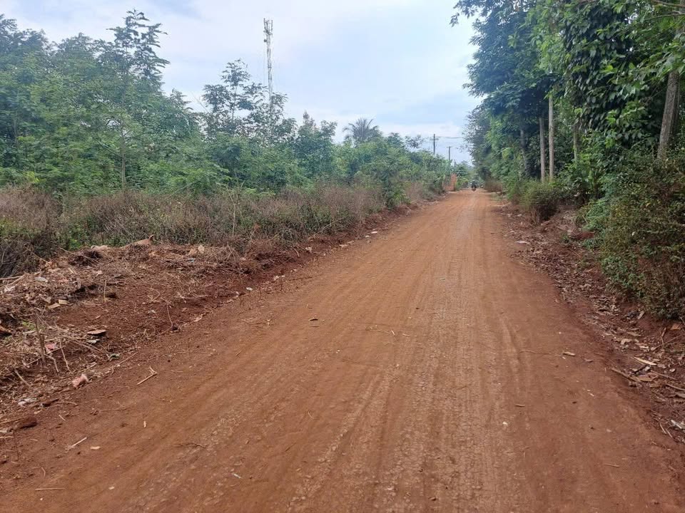 Đất nền xã Ea Ktur, huyện Cư Kuin 1026m² giá chỉ 1.17 tỷ - Pháp lý rõ ràng!