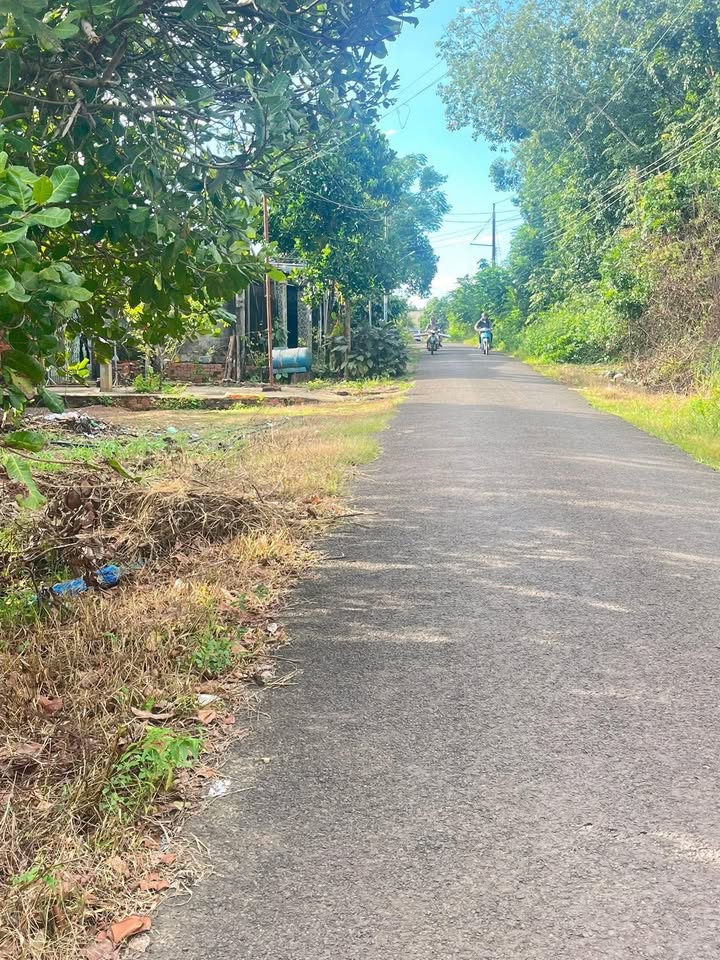 Đất nông nghiệp tại Xã Thanh Hòa, Huyện Bù Đốp 15.000m² giá 2.5 tỷ - Cơ hội đầu tư hấp dẫn!