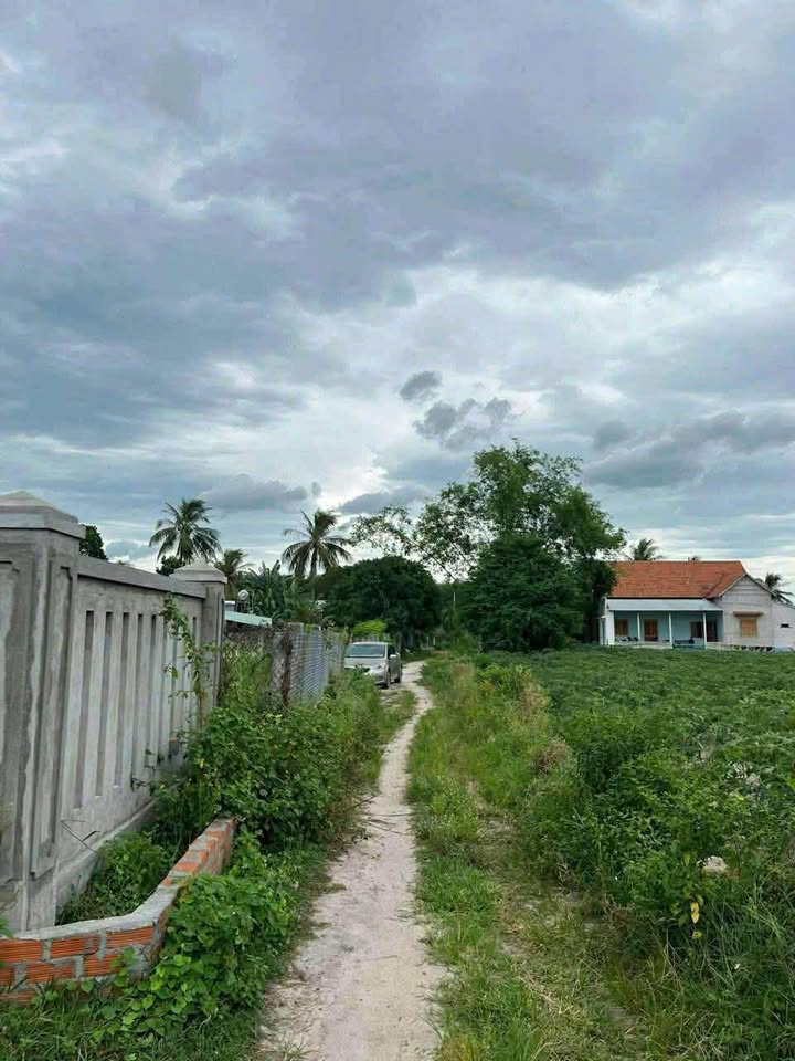 Đất thổ cư tại Thôn Thuận Phong, Cát Lâm, Phù Cát 4000m² giá 1.7 tỷ - Sổ đỏ chính chủ