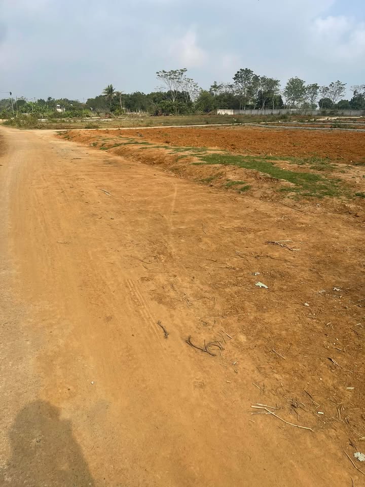 Đất nền Tạ Quang Bửu, Phường Quang Trung, 161m² - Giá thỏa thuận hấp dẫn!