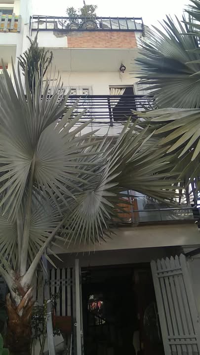 Nhà mặt tiền đường Lê Đình Thám, 57m² giá 7.5 tỷ - Kinh doanh thuận lợi!