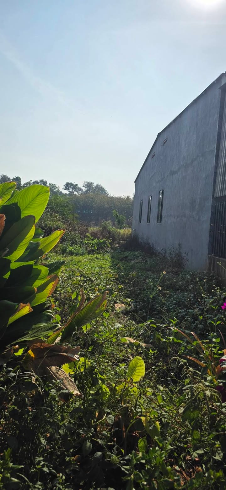 Đất nền Bù Đăng 150m² giá 800 triệu - Sổ đỏ chính chủ, gần trường học!