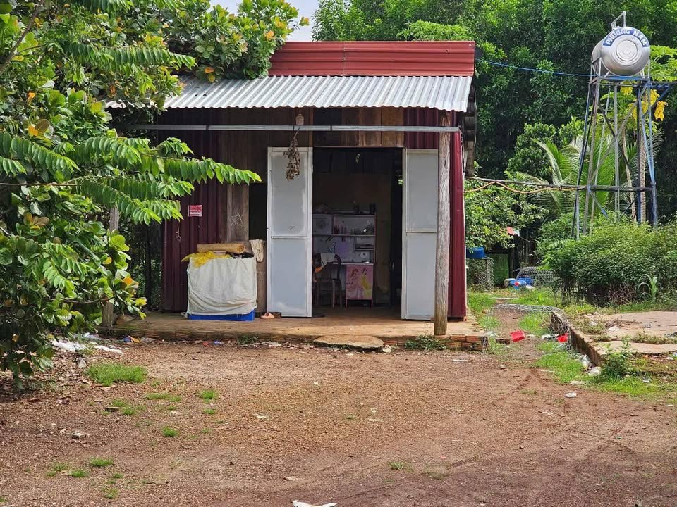 Đất nền 3000m² tại Thanh Bình, Bù Đốp - Giá chỉ 275 triệu, tặng nhà gỗ!