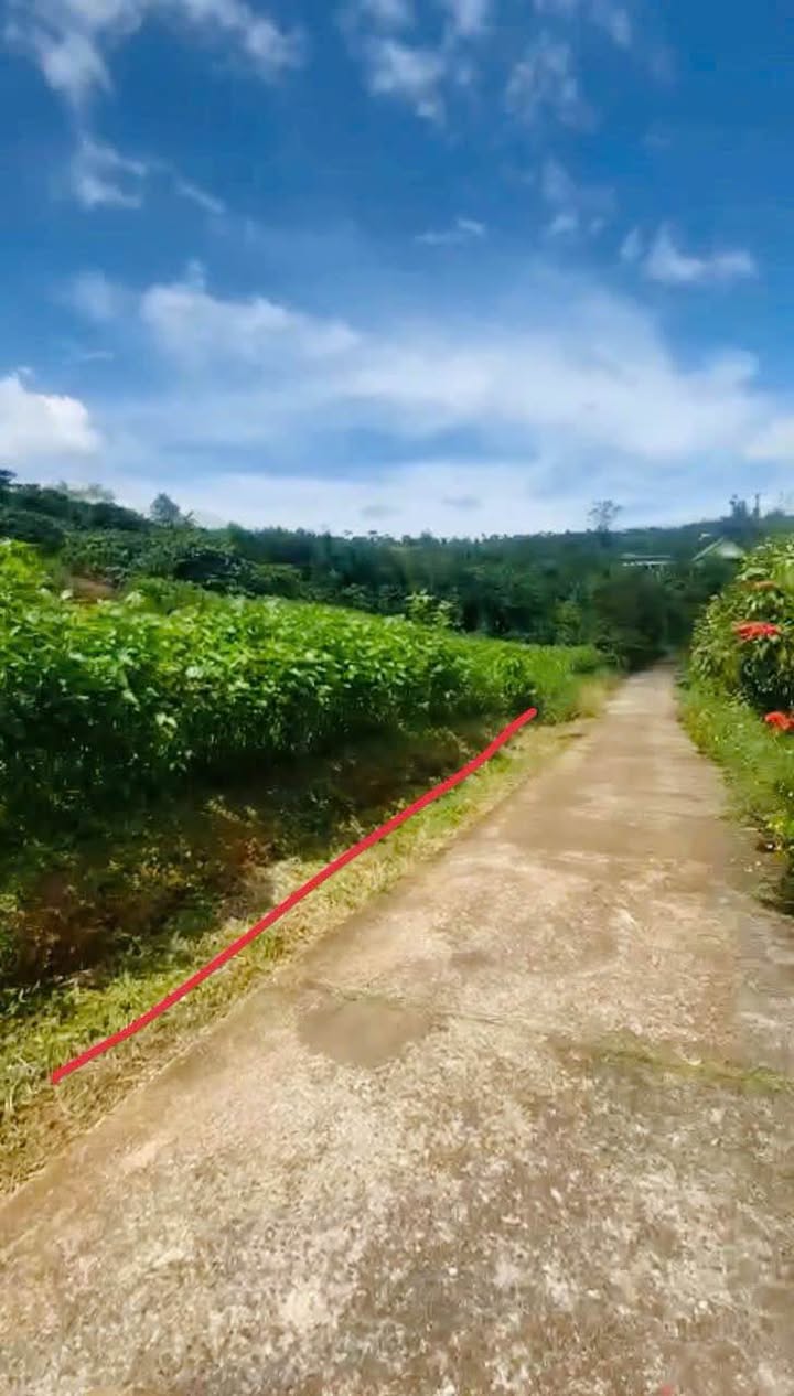 Đất nền Bảo Lộc 700m² giá tốt - Cơ hội đầu tư không thể bỏ lỡ!