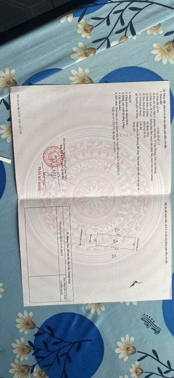 Đất nền KĐT Trần Hưng Đạo Hải Dương 78.75m² - Hướng Nam, giá thương lượng tốt!