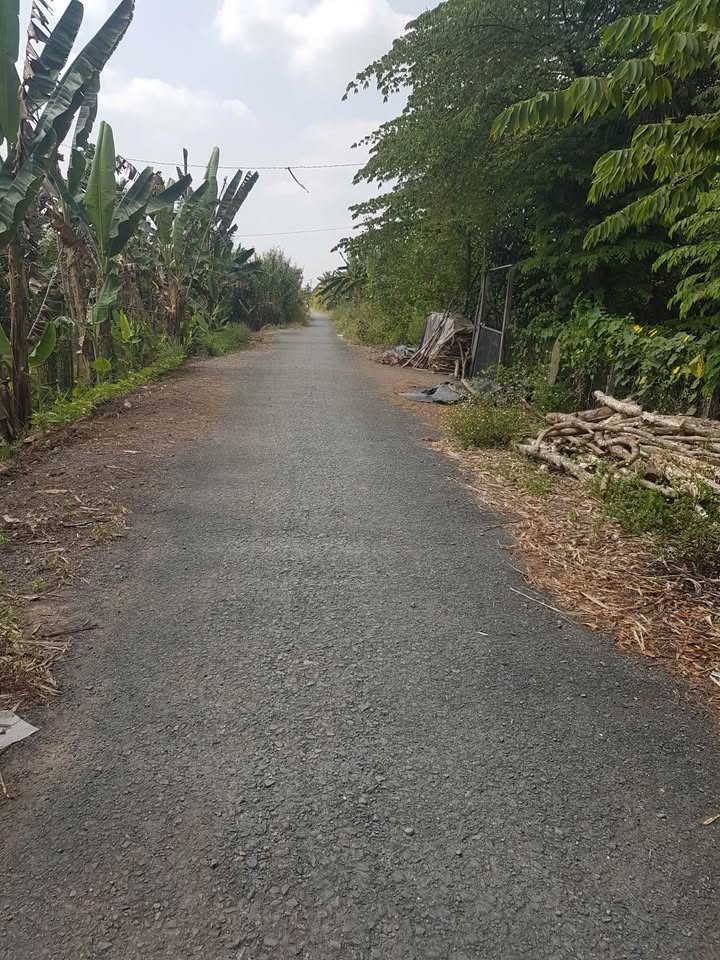 Đất nền mặt tiền lộ Hậu Kênh Thạnh Đông, 246m², giá 1.6 tỷ - Cơ hội đầu tư hấp dẫn!