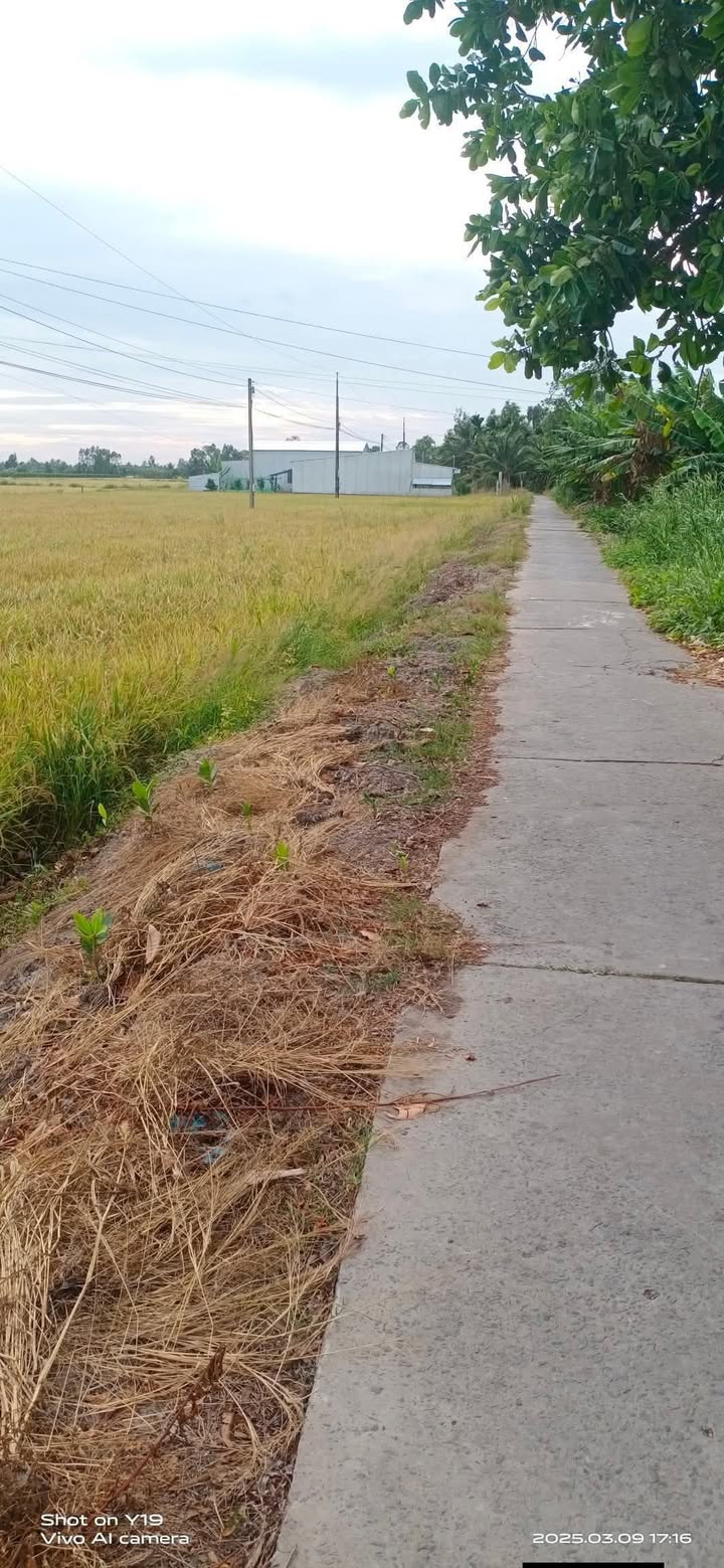 Đất nền mặt tiền Lộ Dal, Châu Thành, Sóc Trăng 2000m² - Cơ hội đầu tư lý tưởng!