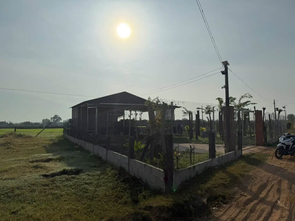 Đất thổ cư 400m² tại An Phú, Hàm Thuận Bắc chỉ 1.25 tỷ - Tiềm năng đầu tư lớn!