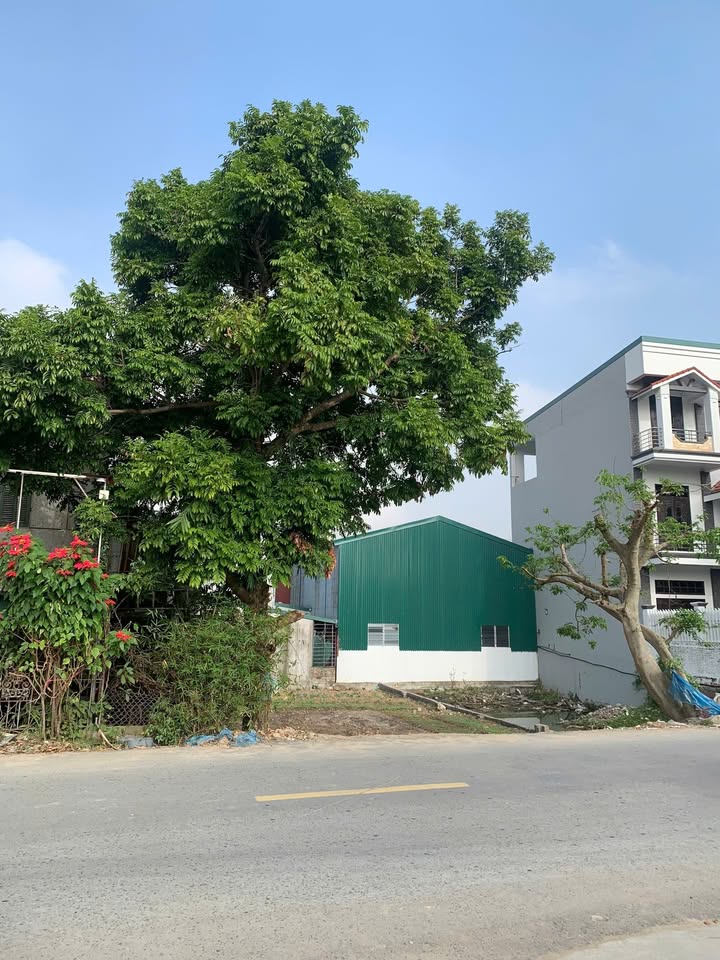 Đất Làng Sái - Vĩnh Tuy 80m² giá 2 tỷ - Đường 12m vỉa hè tuyệt đẹp!