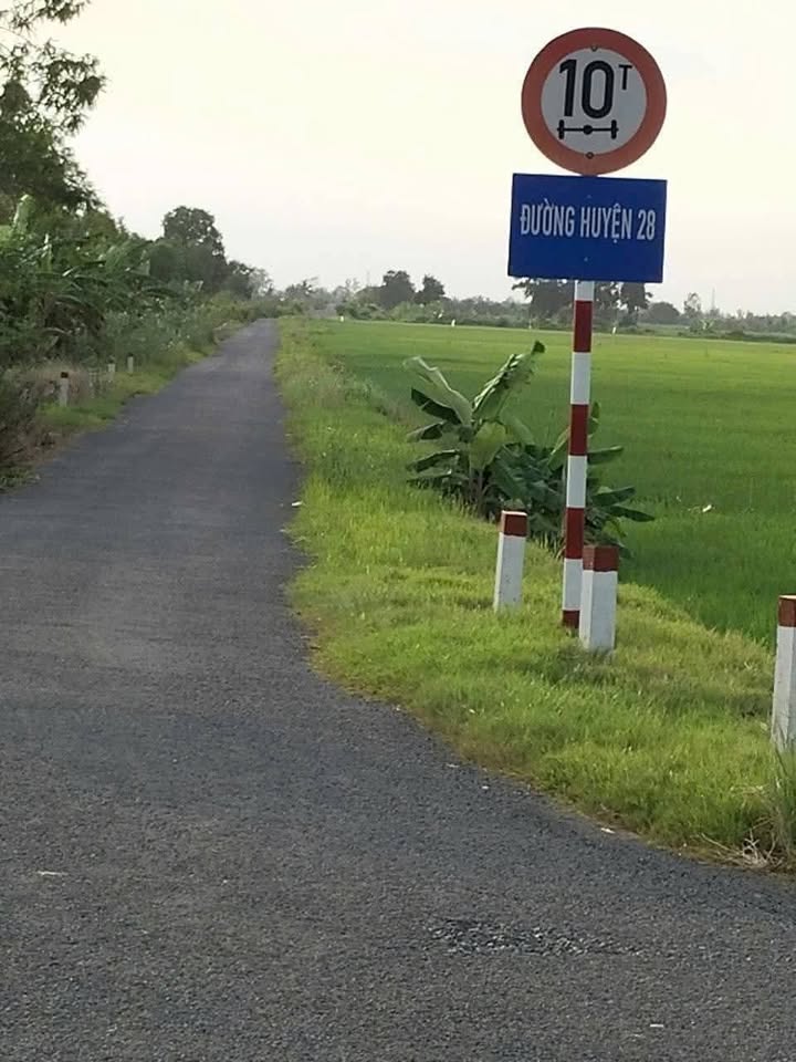 Đất nền mặt tiền hL 28, xã Tân Thạnh, 1034m² chỉ 300 triệu - Cơ hội đầu tư tuyệt vời!