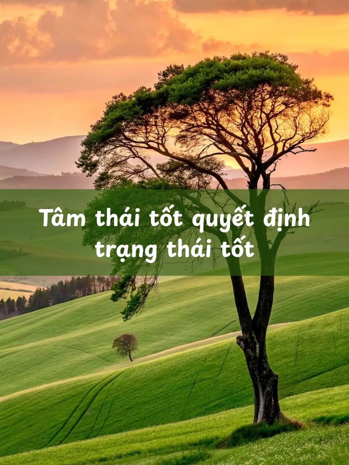 Đất nền tại Thị trấn Mãn Đức, 260m² chỉ 4 tỷ - Cơ hội đầu tư hấp dẫn!