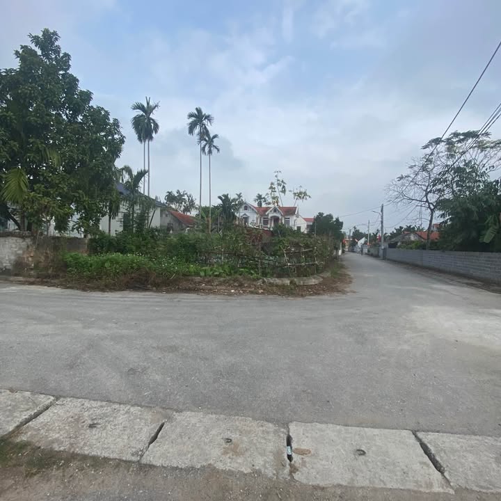 Đất nền Tổ dân phố Tường Nguyễn, 74m² giá 1.8 tỷ - Cơ hội đầu tư hấp dẫn!