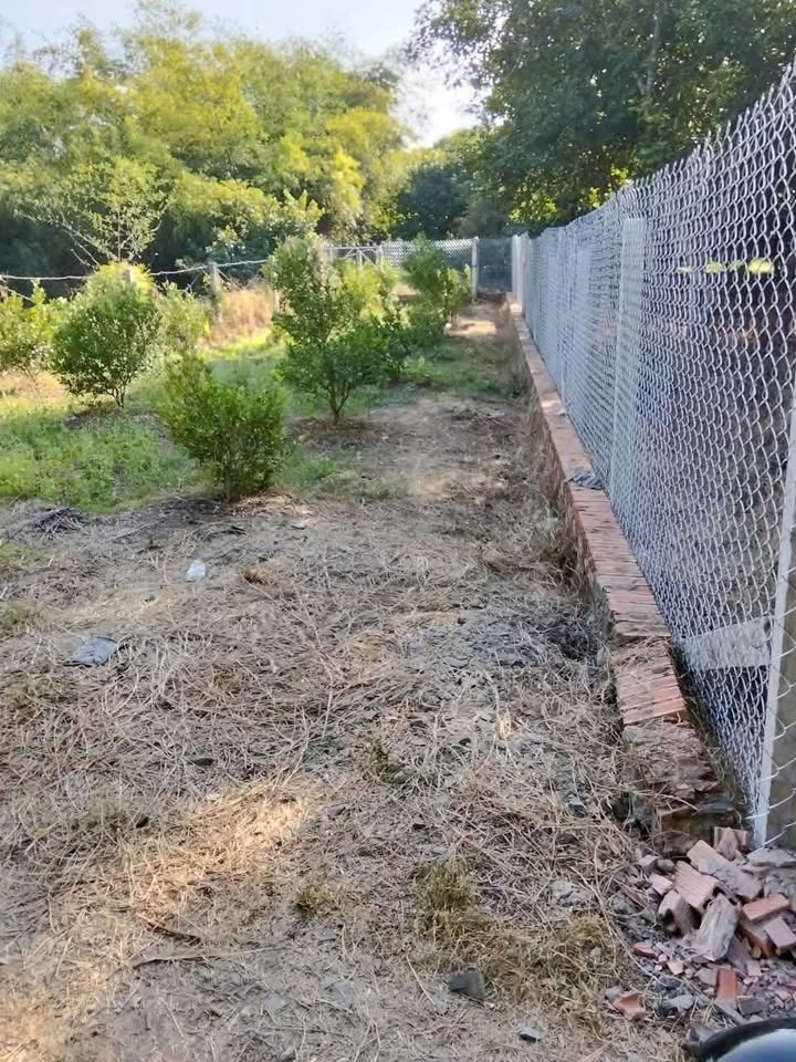 Đất nền 159m² xã Trường Hòa - Giá chỉ 170 triệu - Đầu tư sinh lời ngay!