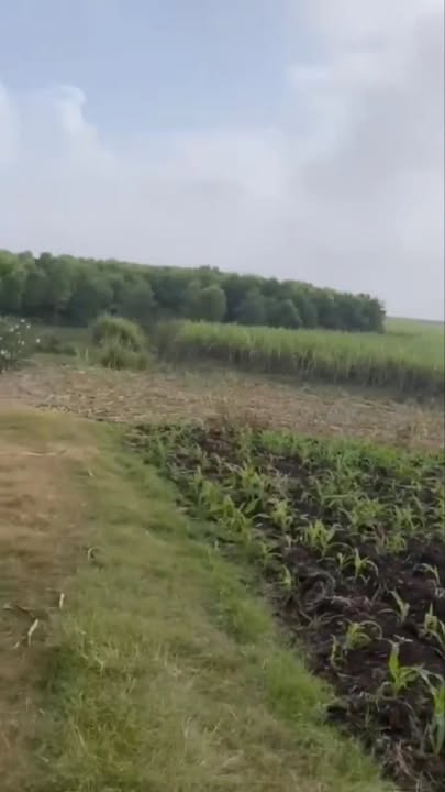 Đất nông nghiệp 20,000m² tại Nghĩa Lâm, Nghĩa Đàn - Pháp lý rõ ràng, đầu tư sinh lời!