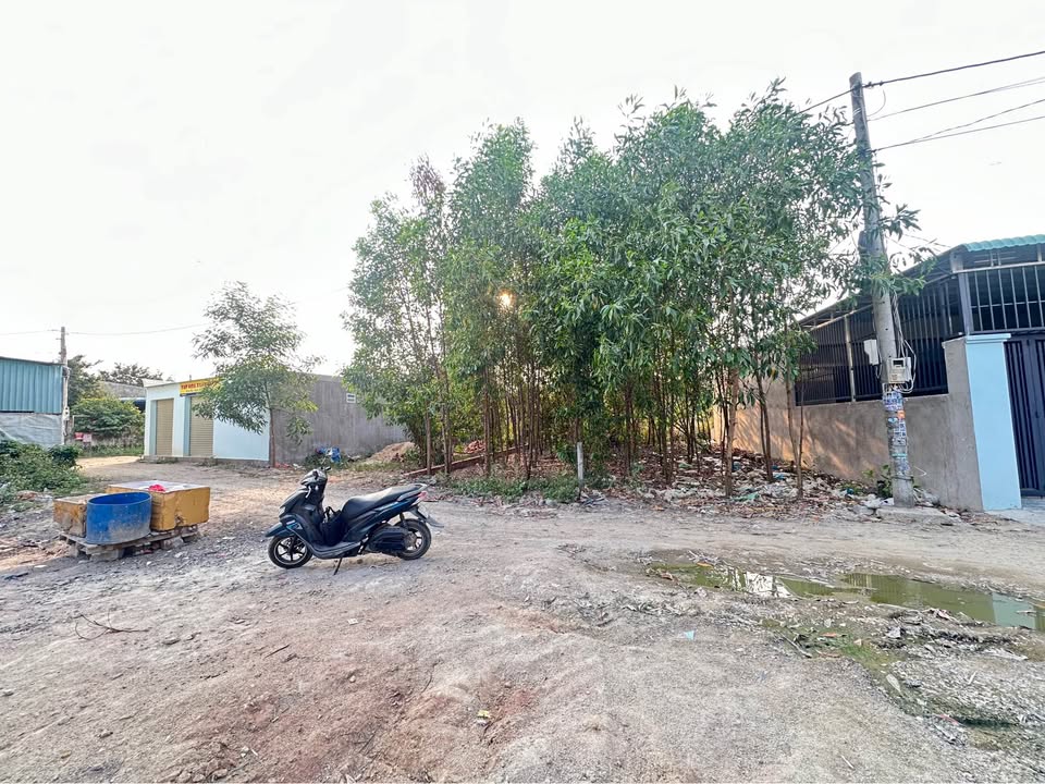 Đất thổ cư 90m² tại Thị Vải, Mỹ Xuân, Phú Mỹ - Giá chỉ 599 triệu!