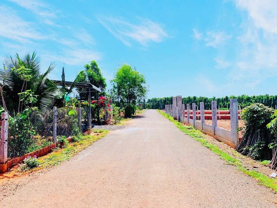 Đất nền Hòa Hiệp, Xuyên Mộc, 866m² giá 1.5 tỷ - Nở hậu đẹp, vị trí đắc địa!