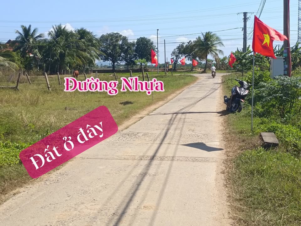 Đất thổ cư 231m² Lạc Hòa, Ninh Hòa giá chỉ 600 triệu - Cần bán gấp!