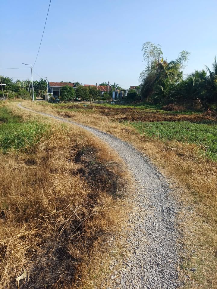 Đất nông nghiệp Phường Ninh Đa 1440m² giá 1.6 tỷ - Đầu tư sinh lời ngay!