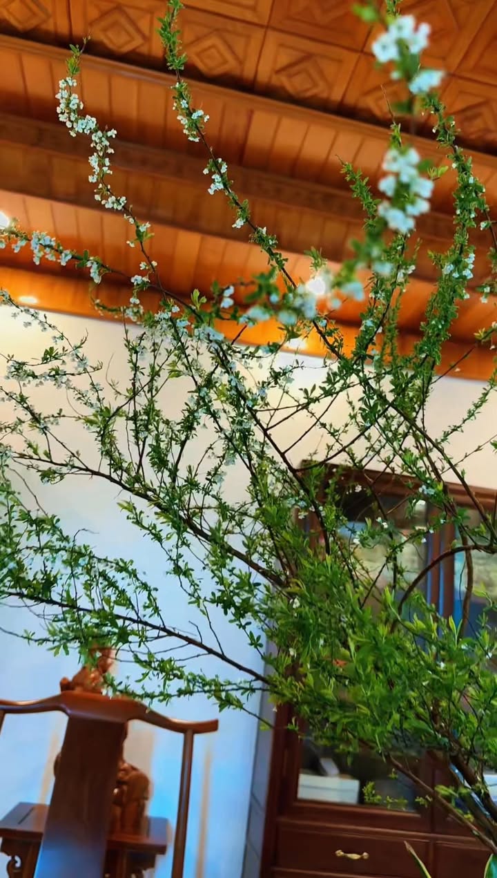 Đất nền 100m² xã Thanh Sơn, Kim Bảng giá chỉ 700 triệu - Cơ hội đầu tư tốt!