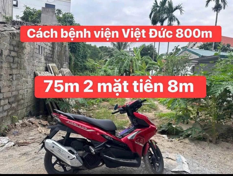 Đất nền Liêm Tiết, Phủ Lý 75m² giá chỉ 2,6 tỷ - Cơ hội đầu tư tuyệt vời!