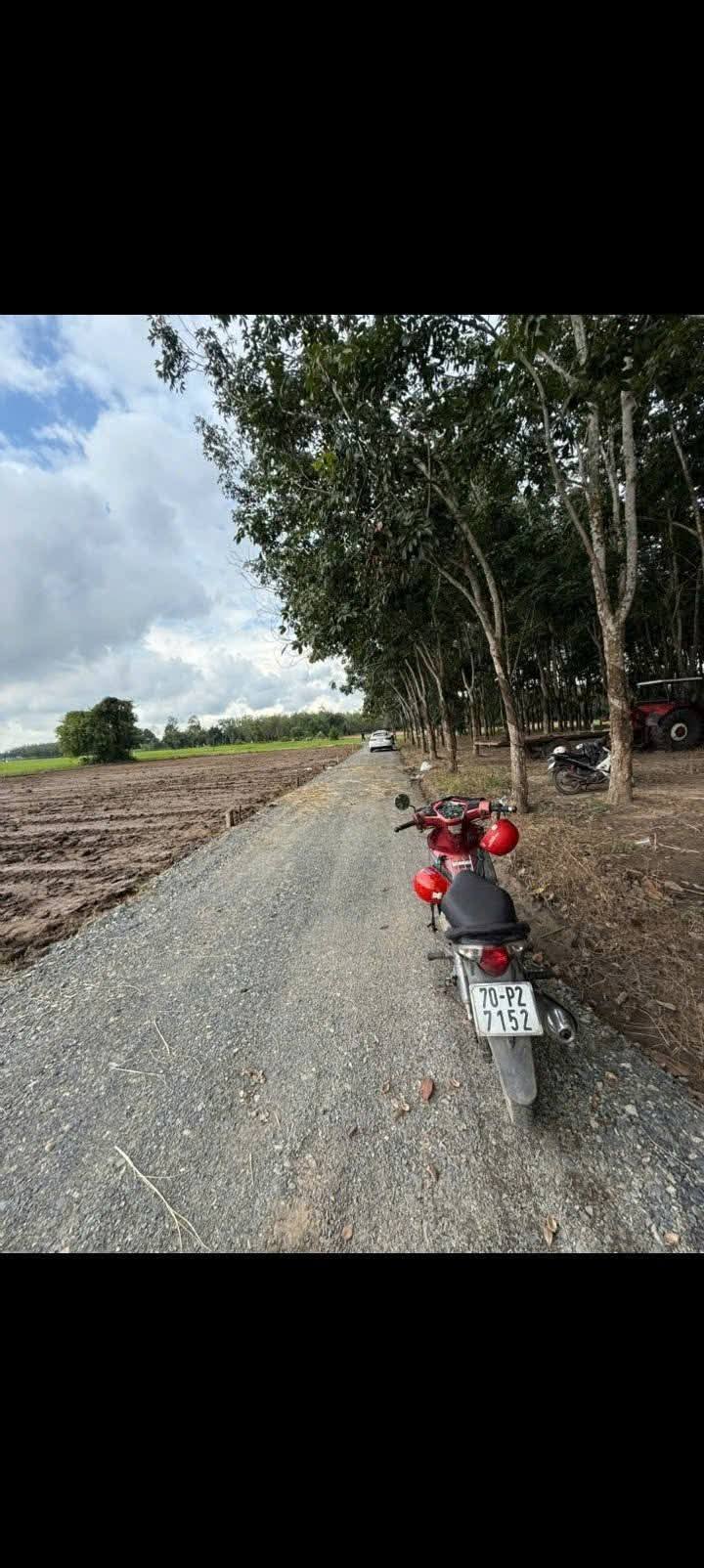 Đất thổ cư Phước Vinh, Châu Thành, Tây Ninh 160m² - Giá chỉ 160 triệu!